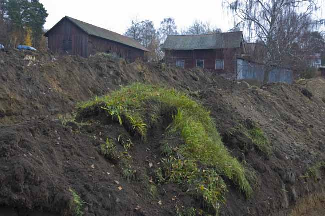 En på ovansidan helt slät sten nedgrävd? perfekt vågrätt. Naturlig slump? Parfymflaska, 1700-tal? Någon som har en annan idé? Ca 1 dm hög.