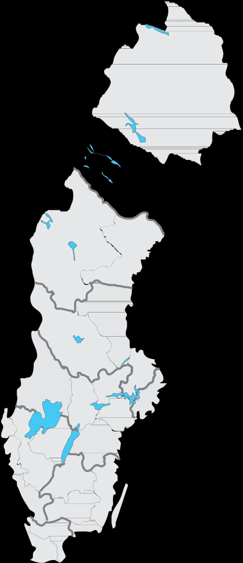 Om Svensk Gymnastik Vi är en av idrottens största kvinnoorganisationer. Fyra av fem medlemmar är kvinnor. De flesta ägnar sig åt barngymnastik och gruppträning.