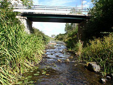 U41. Sagån, Sala SE665033-154913 Län: 19 Västmanland Beskuggning: 5-50 % Kommun: Sala Vattennivå: låg Koordinater: 6645045/590546 (SWEREF99 TM) Vattenhastighet: strömt Provtagningsmetodik: SS-EN