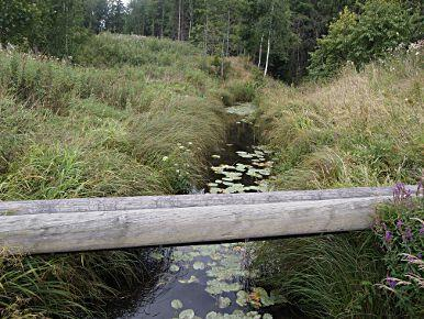 AB5. Muskån-Lillån, Sjötäppan SE654937-161988 Län: 1 Stockholm Beskuggning: saknas Kommun: Nynäshamn Vattennivå: medel Koordinater: 6545503/666342 (SWEREF99 TM) Vattenhastighet: lugnt