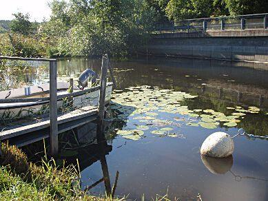 D9. Råckstaåns utlopp, Läggesta SE657136-157645 Län: 4 Södermanland Beskuggning: saknas Kommun: Strängnäs Vattennivå: medel Koordinater: 6569225/624018 (SWEREF99 TM) Vattenhastighet: lugnt