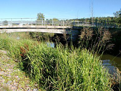 D15. Sigtunaån, Gnesta SE654700-158763 Län: 4 Södermanland Beskuggning: saknas Kommun: Gnesta Vattennivå: låg Koordinater: 6547243/633497 (SWEREF99 TM) Vattenhastighet: lugnt Provtagningsmetodik: