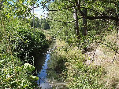 D19. Forsån från Holmsjön till Uren, Kvarngården SE654368-154579 Län: 4 Södermanland Beskuggning: >50 % Kommun: Flen Vattennivå: låg Koordinater: 6542011/596410 (SWEREF99 TM) Vattenhastighet: stilla