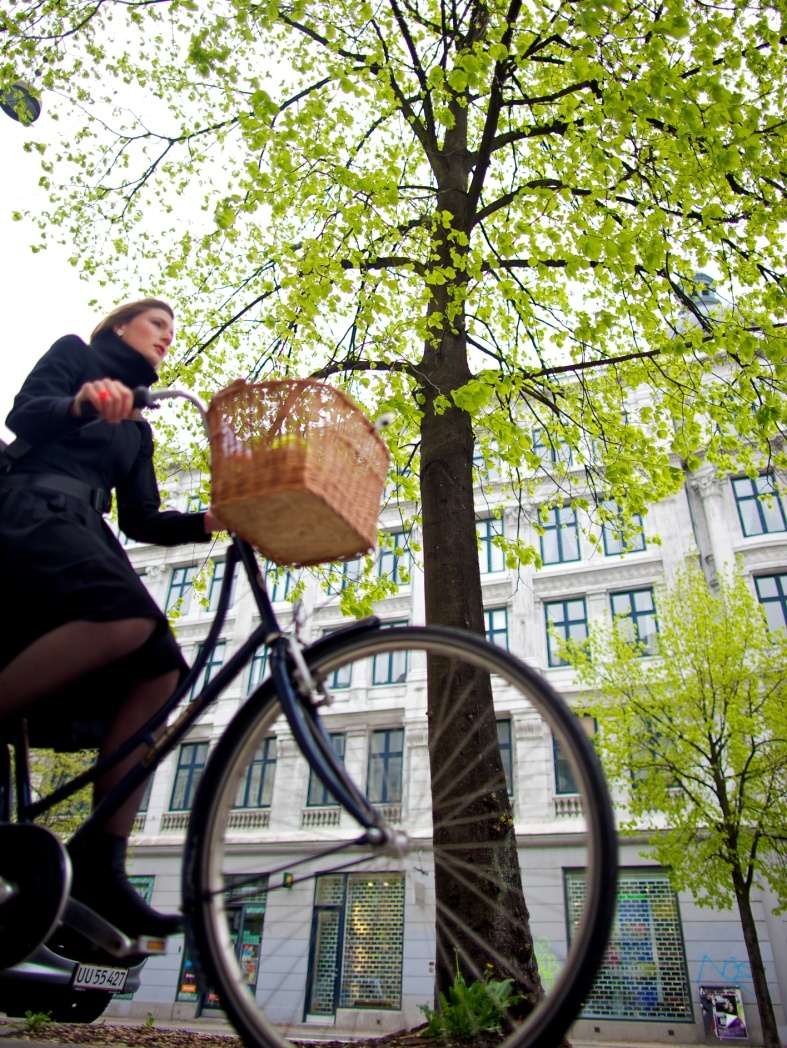 The world s best City of cyclists- 1. 50% bicycle share of all trips to work and school in Copenhagen (2010: 35 %) 2.