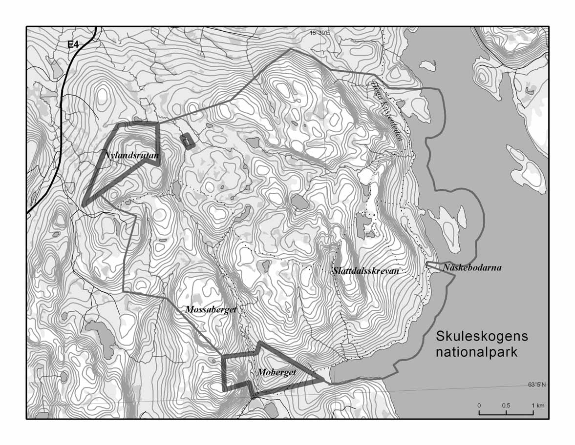 SFS 2009:729 Gräns för