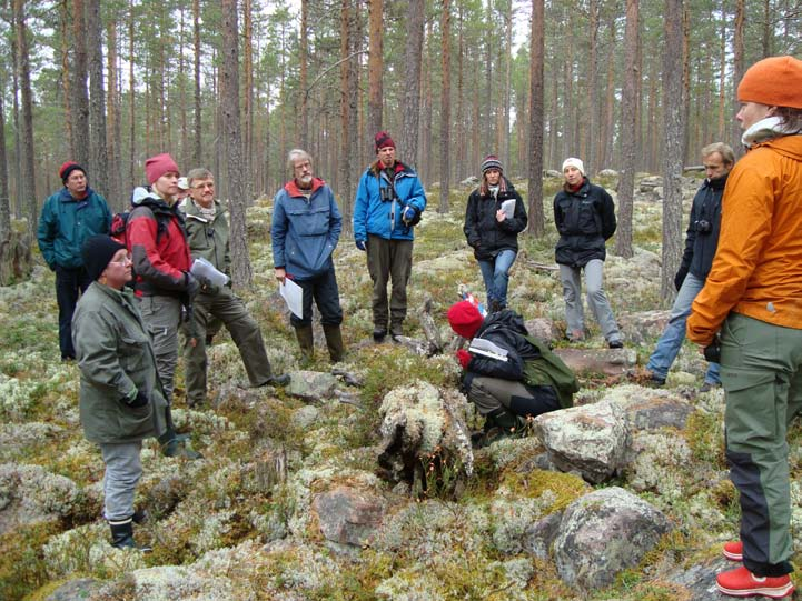 Naturvärdena förbisedda. När Skogsstyrelsen åren 1993 1999 genomförde nyckelbiotopsinventeringen förbisågs tallskogarna i stor utsträckning.