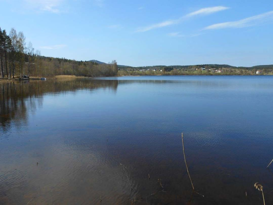 Landsbygdsutveckling i strandnära läge (LIS) Bilaga 1: Planeringsförutsättningar och analys