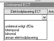 Bedömning Omdöme grundat på insamlad information Efter insamlad data (patientanamnes, skattningar, eventuella biverkningar osv): Fyll i Din bedömning som är grundat på insamlad information.