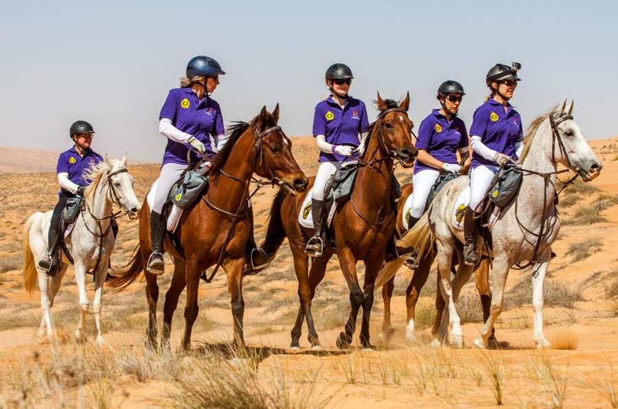 22-29/1 & 31/1-7/2 OMAN SAGOLIK ÖKENRITT MOT STRÄNDER & TIDVATTENS DYNINGAR Nu erbjuder vi som första arrangör en äventyrlig och riktigt häftig resa som aldrig gjorts tidigare för besökande ryttare.