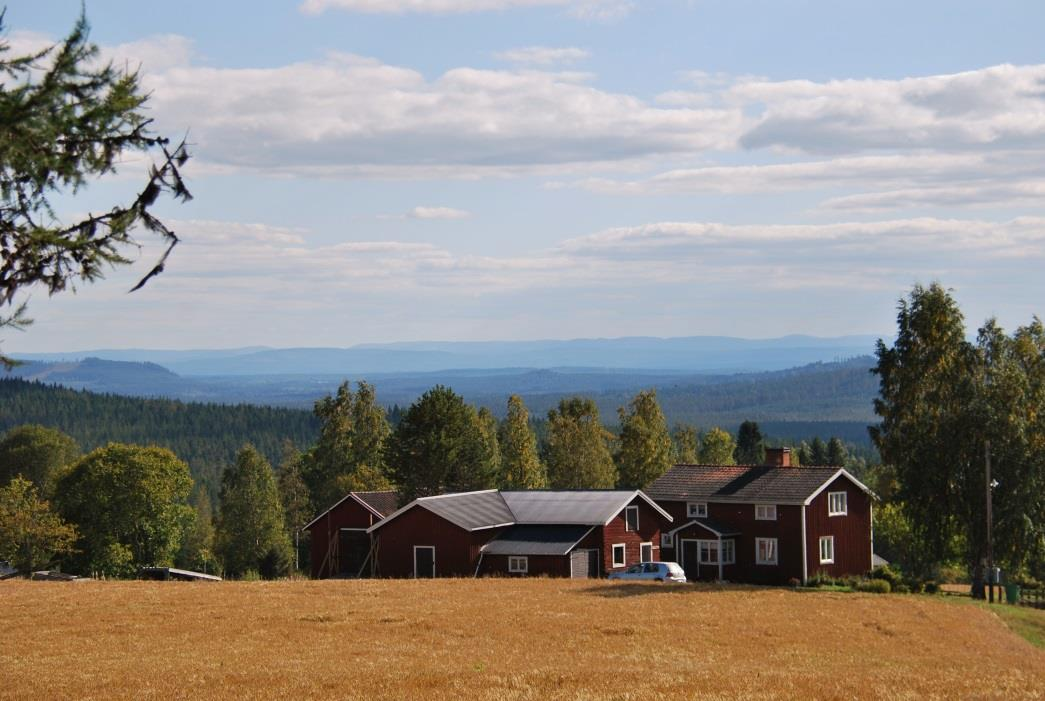 10 FINNSAMs höstkonferens 6-8 september 2013 på Järvsö Finnskog med omnejd Av Eva Jernqvist Konferensen hade sin bas på Harsagården, där människor levt och verkat långt innan Skid- och