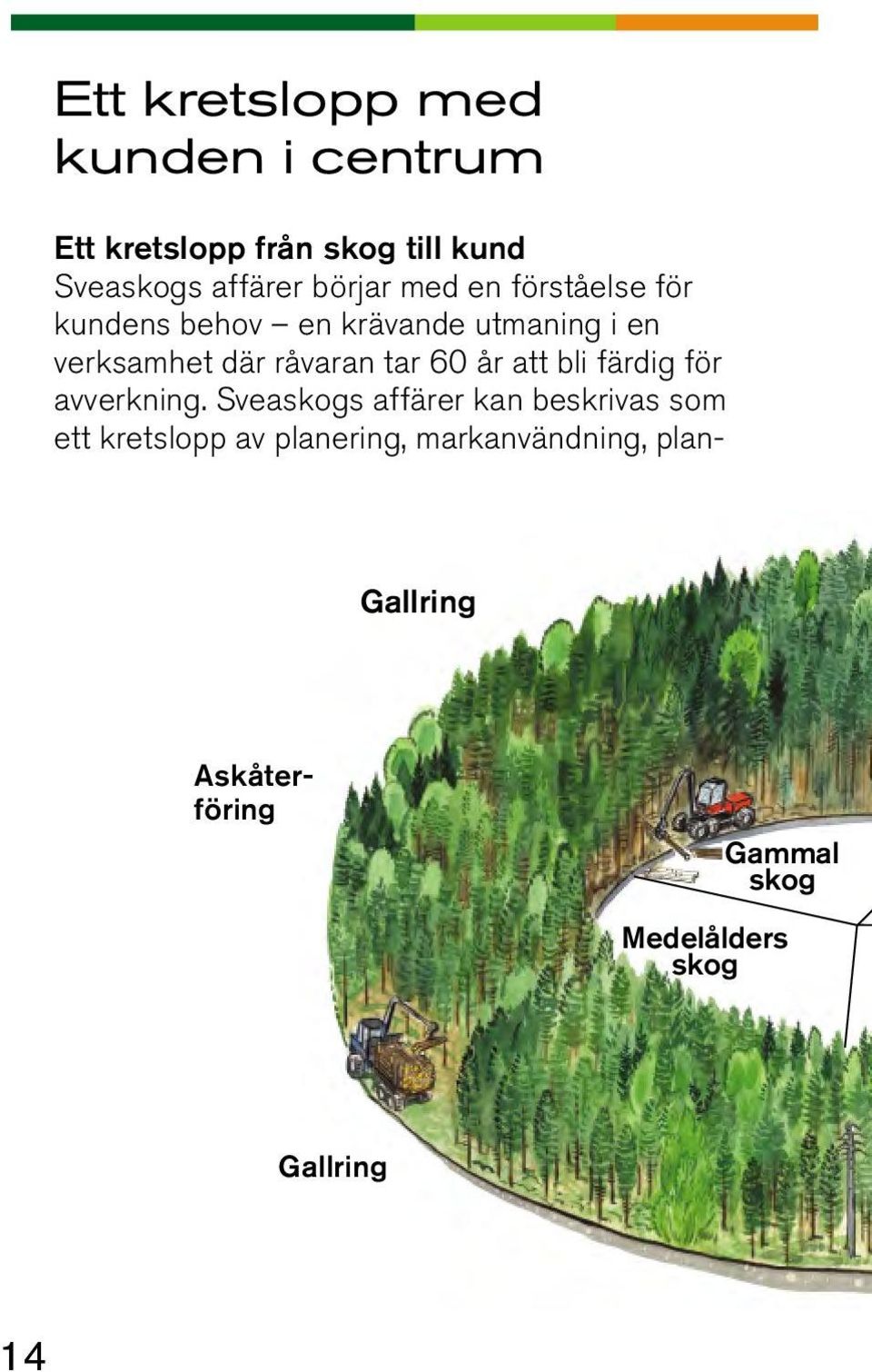 tar 60 år att bli färdig för avverkning.