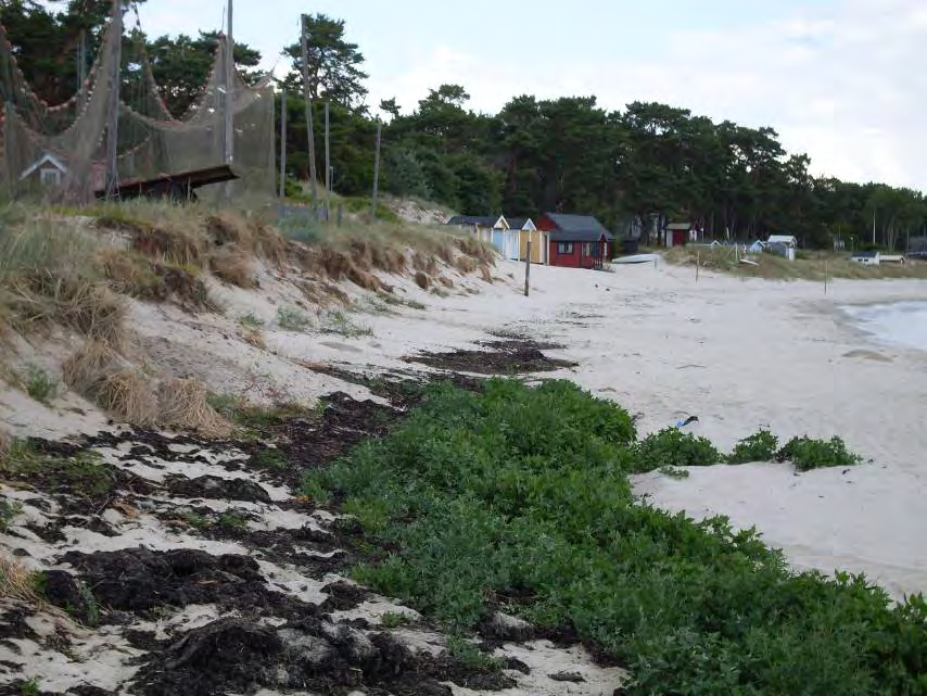 KRISTIANSTADS KOMMUN Hållbar utveckling av Åhuskusten