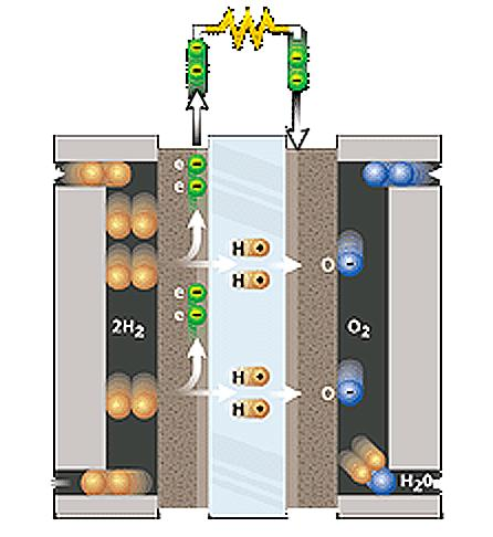 Polymerelektrolytbränslecellen (PEMFC) Anod e e e e Katod H 2 O 2 / Luft HOR: H 2 2 H + + 2 e - ORR: 1/2 O 2 + 2 e - + 2H