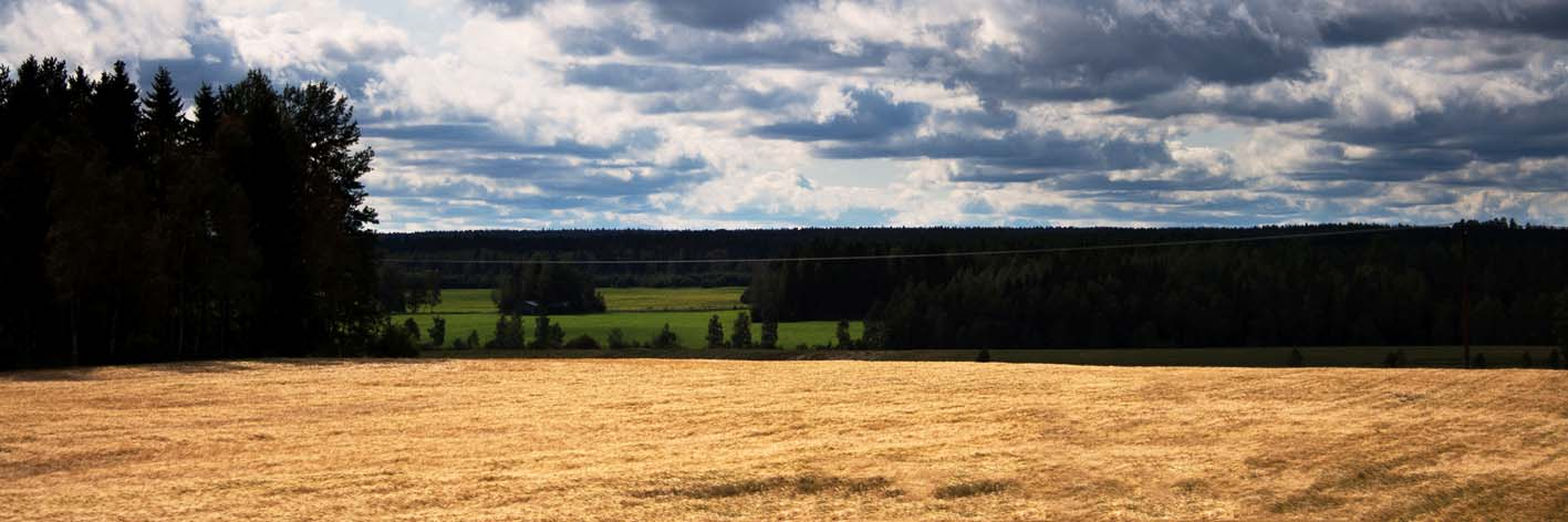 Sveriges lantbruksuniversitet Institutionen för mark och miljö Möjligheter att minska kväveutlakningen genom att anpassa kvävegödslingen till variationer inom stråsädesfält Possibilities to reduce