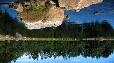 Kustinventeringen 2002-2004, Sundsvalls kommun 346 Kråkviken 1588657 Y 6903187 NV: 3 Areal 1,7 ha Biotopbeskrivning: Löv- och vassdominerad havsstrand, med sand och finsediment.