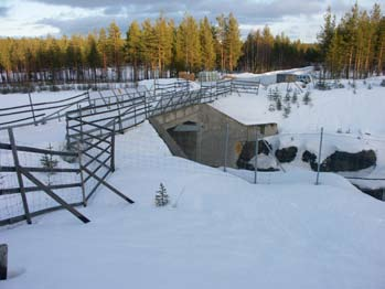 En ekodukt anläggs för att leda naturen över vägen eller järnvägen. Mänsklig trafik får inte förekomma på en ekodukt. Bilden föreställer en ekodukt i Nederländerna.