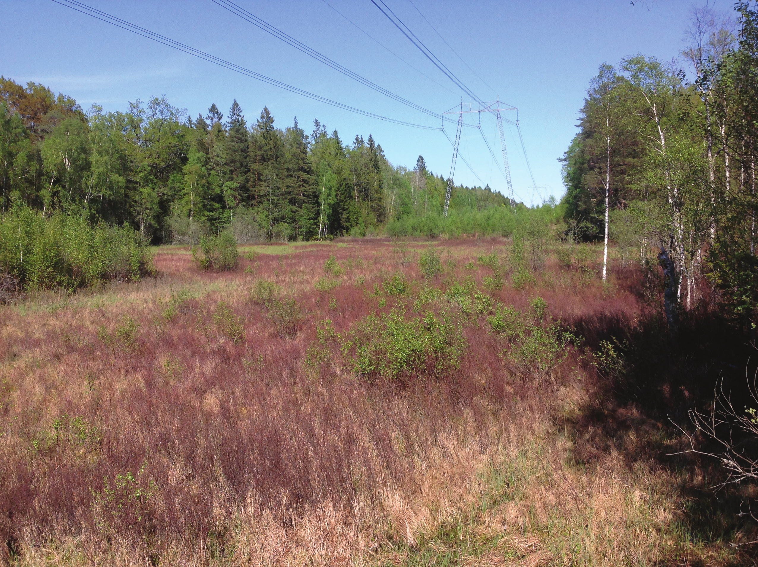 Underlag för kompletterande samråd - passage mellan hagaberg och baggetorpskvarn september 2016 dnr 2016/691 Underlag för kompletterande samråd