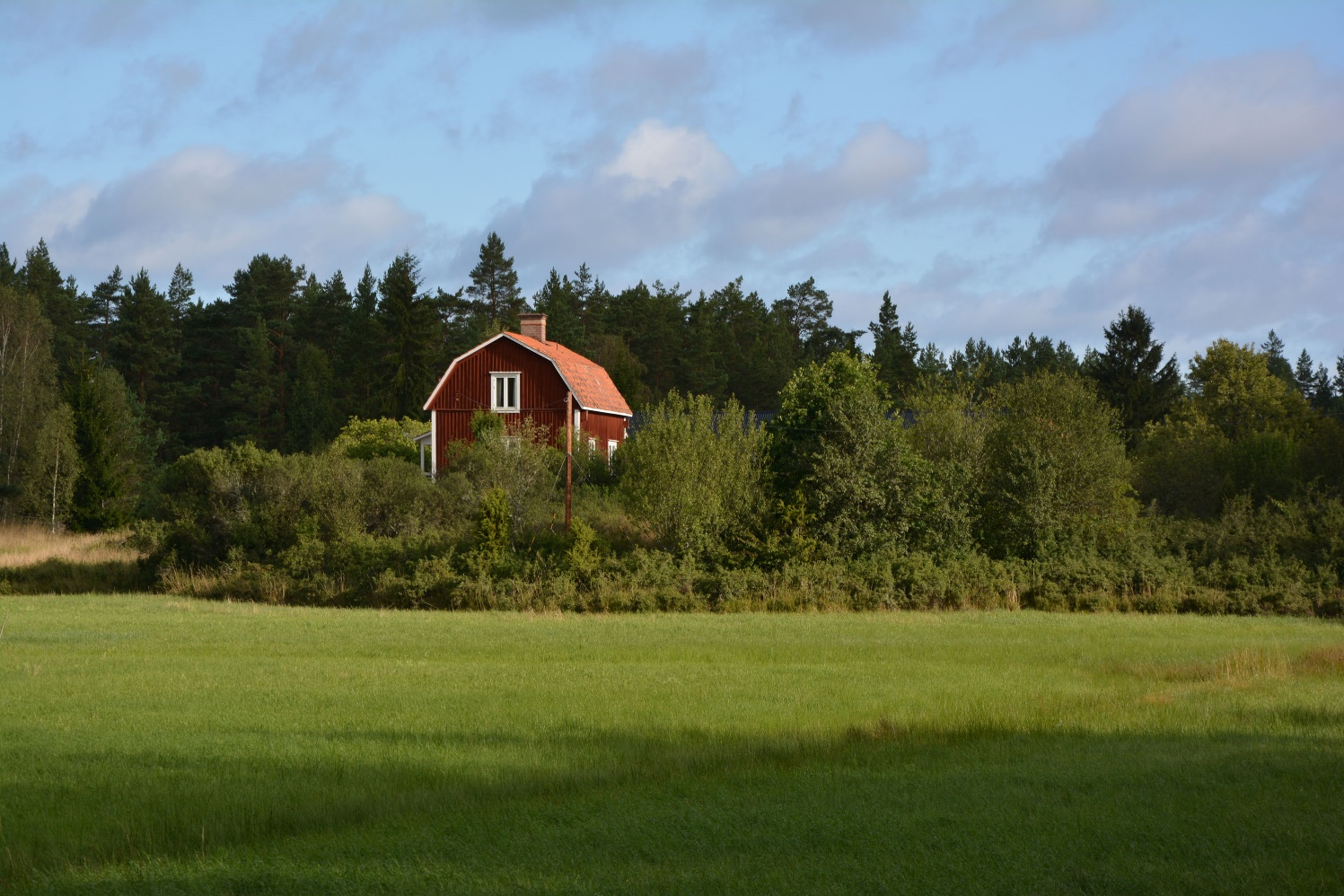 Oskarshamn Arvidsmåla 1:5 Upplysningar Johan Samuelsson, Skogsingenjör/reg. Fastighetsmäklare. E-mail johan.samuelsson@skogochlantbruk.