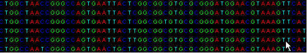 Principen för MultiLocus Sequence Typing (MLST) fumc Sequence (500 bp) combination of 7 genes in one isolates Sequences adk fumc gyrb icd mdh pura reca 1 2 1 5 22 39 7 Allele 1 2 3