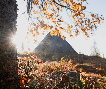 Det är lätt att känna sig välkommen i Dorotea BOENDE CENTRALA DOROTEA Hotell Dorotea, Bergsvägen 2 0942-477 80 Doro Camping Lappland, Storgatan 1A 0942-102 38 BOENDE BORGAFJÄLL Borgafjäll Hotell