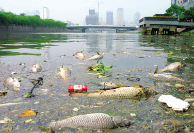 Ø Environmental pollution due to