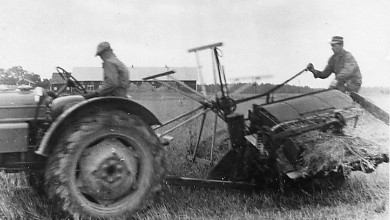 Självbindare Vid långa dagar och vid uttagen övertid tröskades mellan 200-300 säckar per dag.