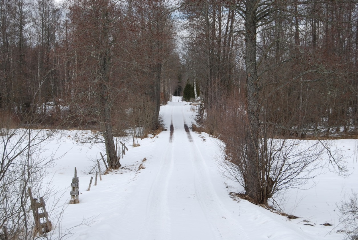 Mönsterås Hökhult 1:11, 1:12 och 1:13 Om Skog & Lantbruk Skog & Lantbruk är ett rådgivningsföretag som arbetar med följande tjänster inom jord och skog: - Fastighetsförmedling - Generationsskifte -