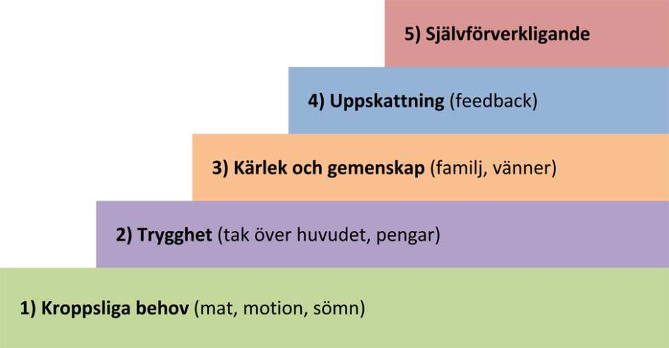 Teoretisk bakgrund och förutsättningar 1. Kroppsliga behov, som mat, motion och sömn, är det lägsta behovet på hierarkitrappan och den viktigaste.