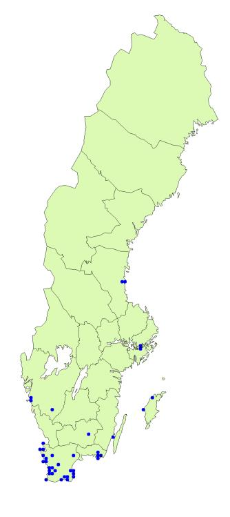 Ekorr- och råttsvingel 2017-01-17 Selektiva herbicider i rödsvingel saknas 2016 i hälften av utsädesodlingarna av