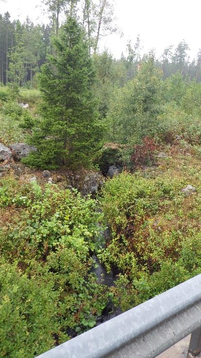 Björkesjöbäcken. Uppströms vägen nedströms Björkesjön.