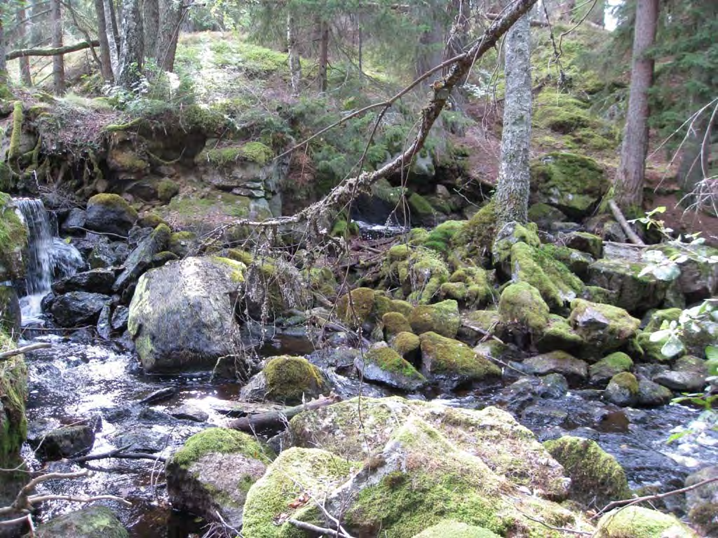 H 5 vandringshinder vid Fagerlidsdammen. Definitivt vandringshinder: Vandringshindret bestod av en äldre damm (sannolikt har den använts för flottning) med två utskov.