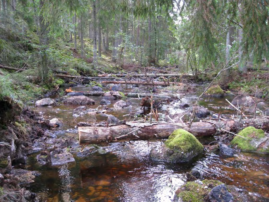 Bild 21 A. Strömsträcka i den övre forsen uppströms Bergvattnet före åtgärd. Bild 21 B.