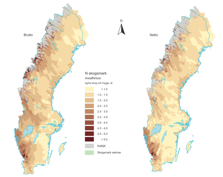 Skogens inklusive hyggenas bruttoläckage uppgick till 48 400 ton/år. Av detta nådde 39 900 ton havet efter retention i sjöar.