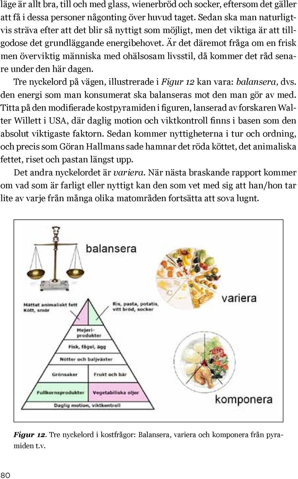 Är det däremot fråga om en frisk men överviktig människa med ohälsosam livsstil, då kommer det råd senare under den här dagen. Tre nyckelord på vägen, illustrerade i Figur 12 kan vara: balansera, dvs.