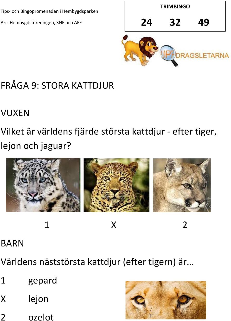 lejon och jaguar?