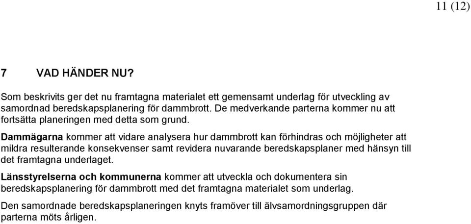 Dammägarna kommer att vidare analysera hur dammbrott kan förhindras och möjligheter att mildra resulterande konsekvenser samt revidera nuvarande beredskapsplaner med hänsyn