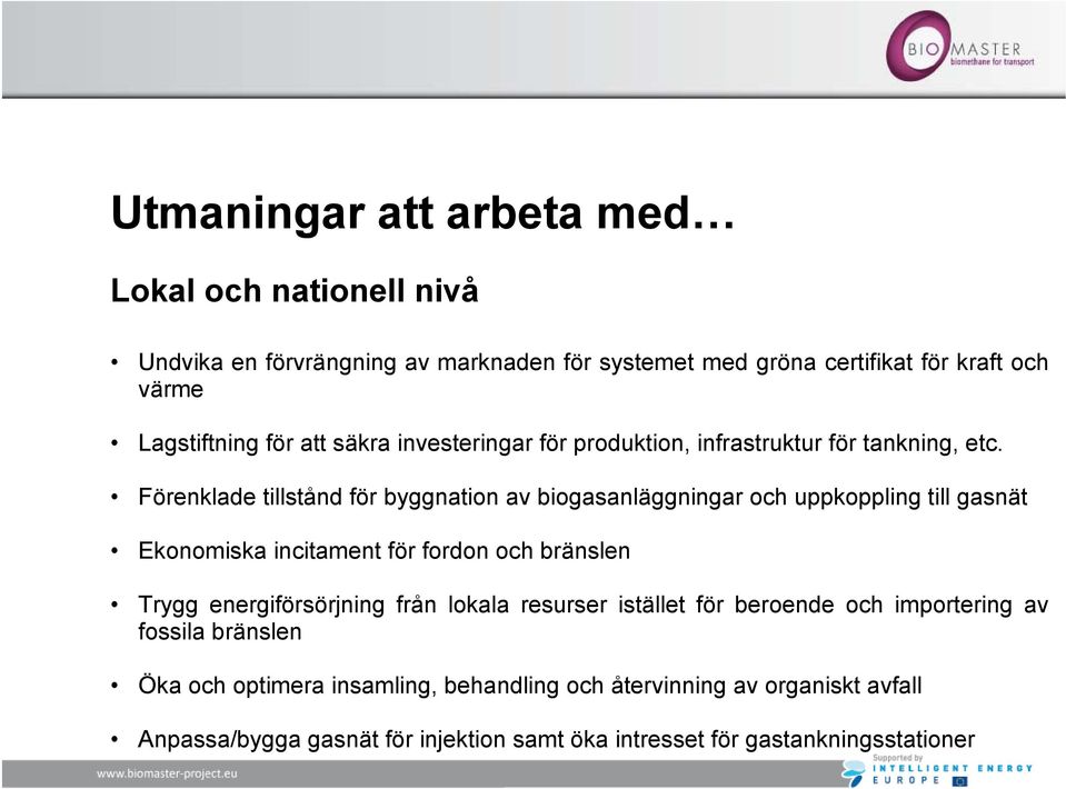 Förenklade tillstånd för byggnation av biogasanläggningar och uppkoppling till gasnät Ekonomiska incitament för fordon och bränslen Trygg energiförsörjning