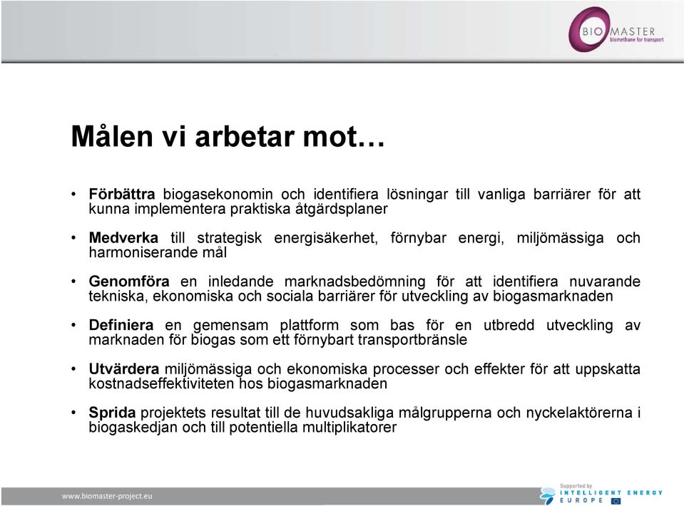 biogasmarknaden Definiera en gemensam plattform som bas för en utbredd utveckling av marknaden för biogas som ett förnybart transportbränsle Utvärdera miljömässiga och ekonomiska processer