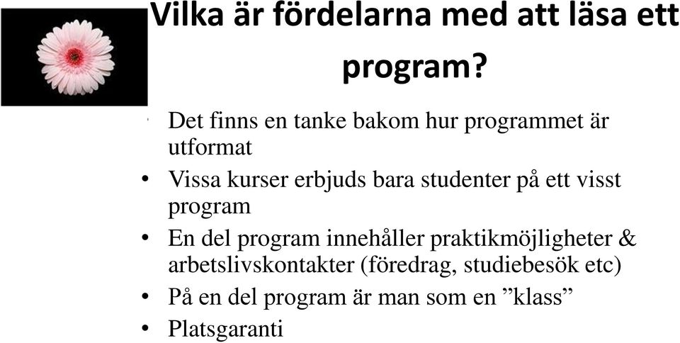 bara studenter på ett visst program En del program innehåller