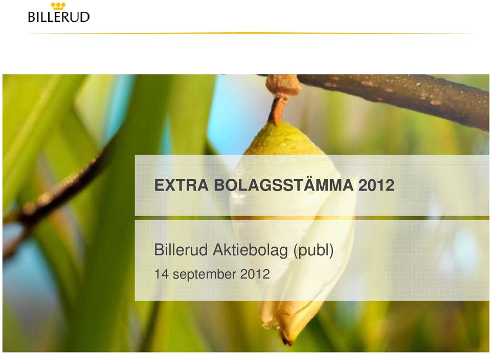 2012 Billerud