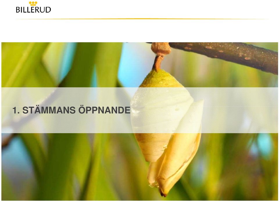 ÖPPNANDE