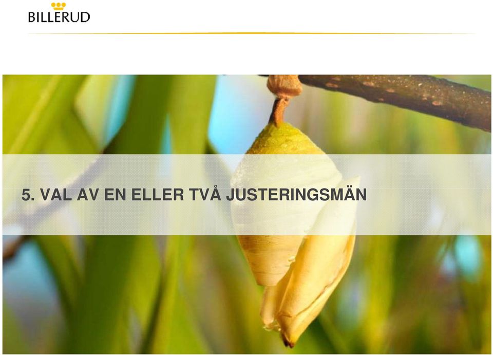 TVÅ