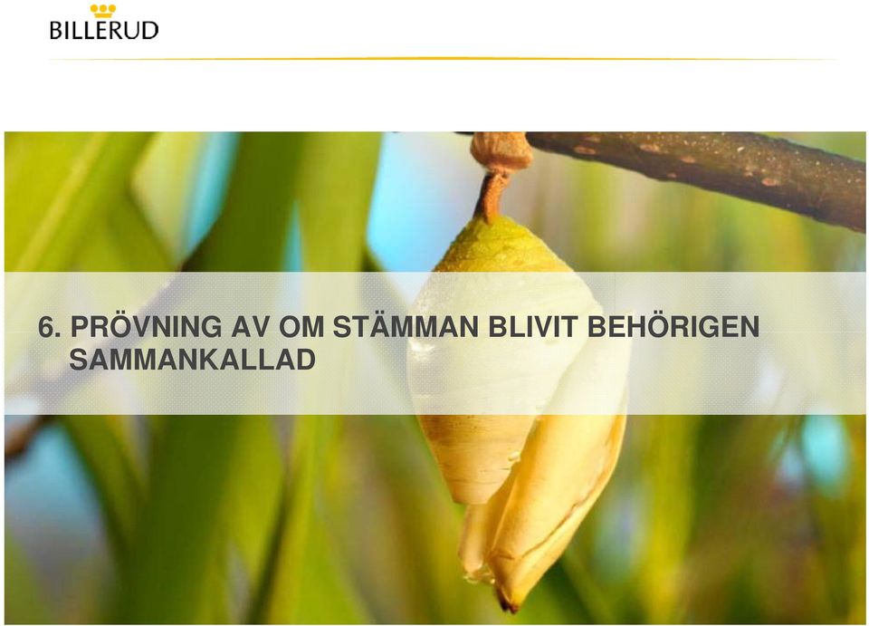 BLIVIT
