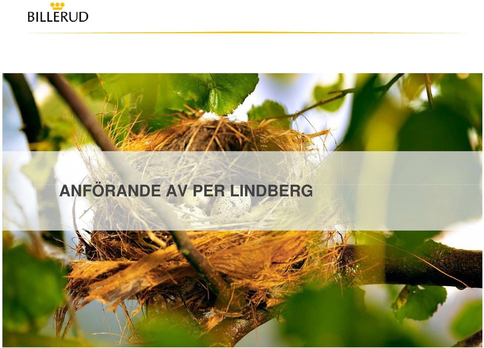 LINDBERG