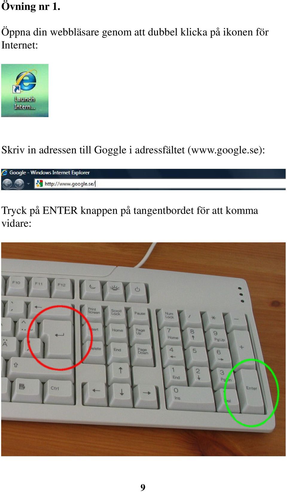 ikonen för Internet: Skriv in adressen till Goggle