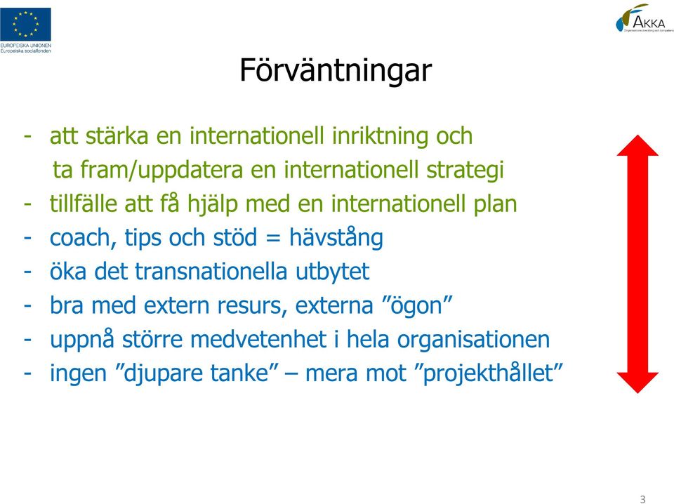 och stöd = hävstång - öka det transnationella utbytet - bra med extern resurs, externa