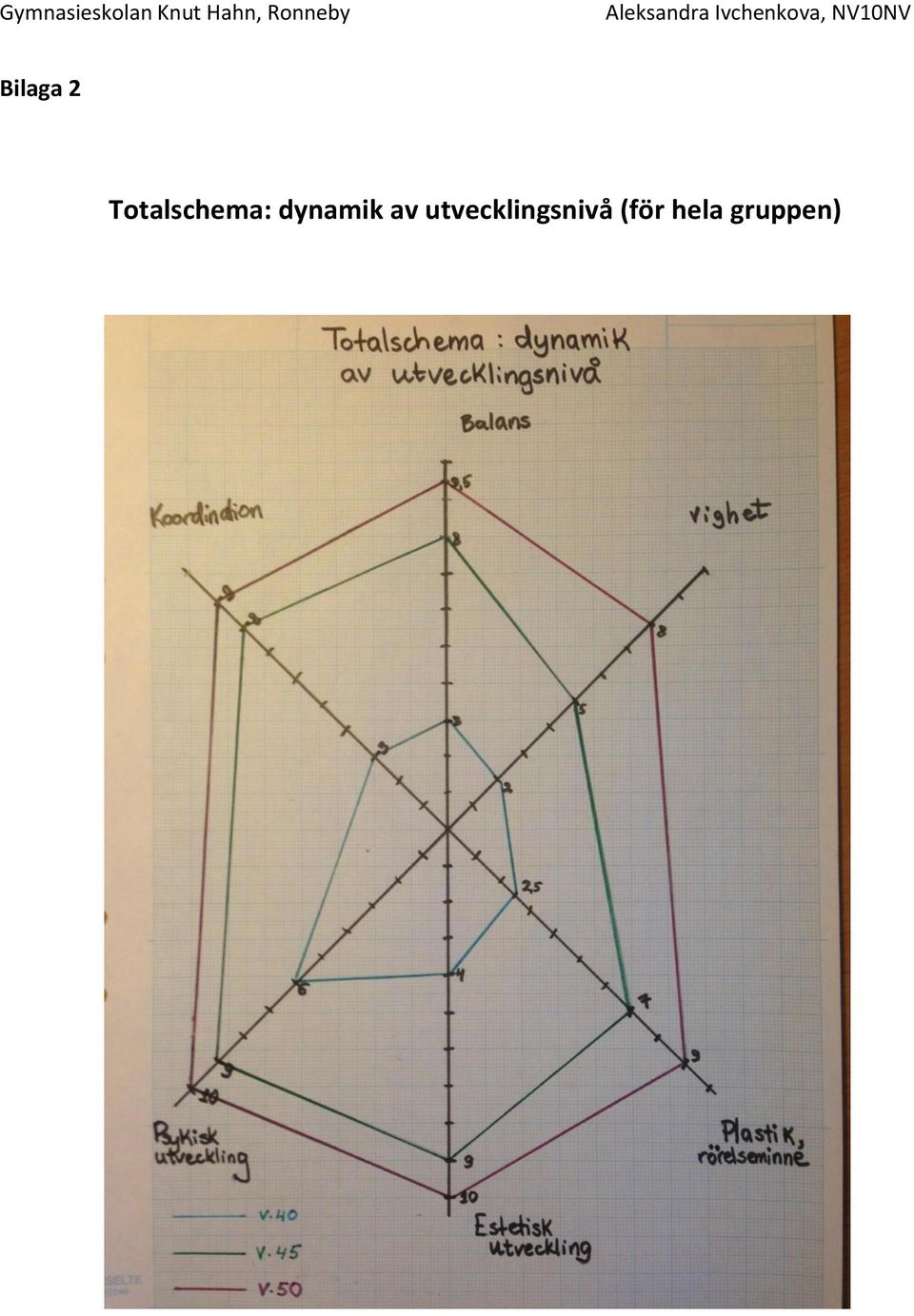 dynamik av