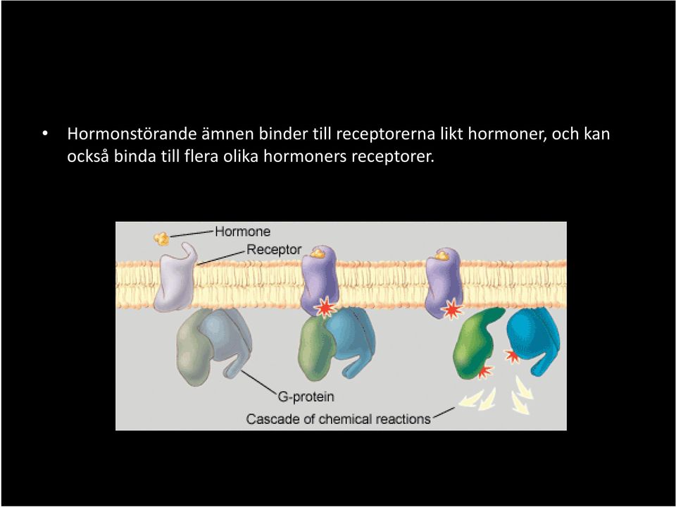 hormoner, och kan också binda