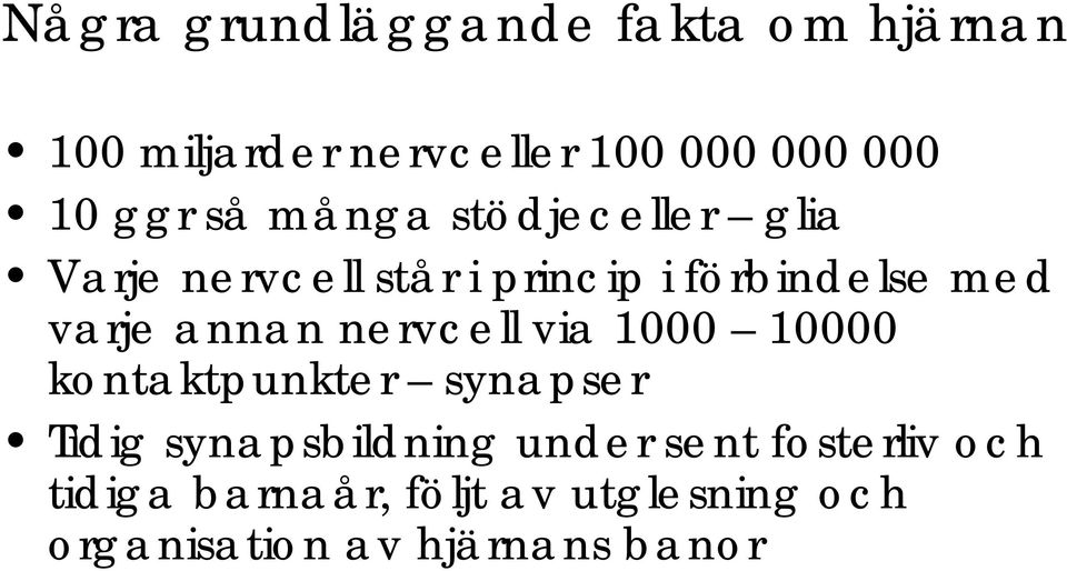 varje annan nervcell via 1000 10000 kontaktpunkter synapser Tidig synapsbildning