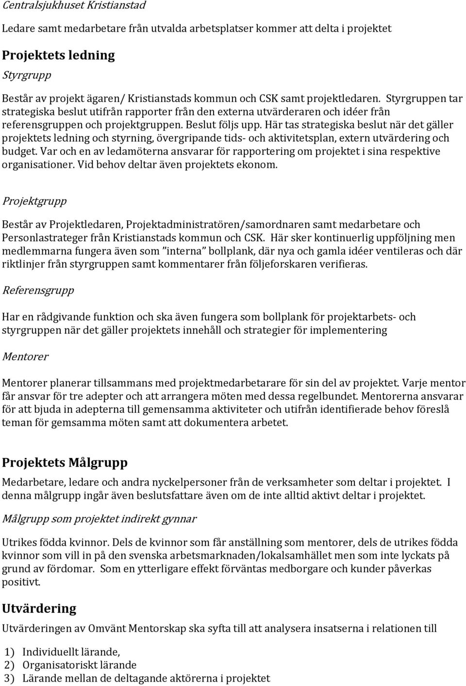 Här tas strategiska beslut när det gäller projektets ledning och styrning, övergripande tids- och aktivitetsplan, extern utvärdering och budget.